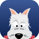 SSRDOG机场 | IEPL和IPLC专线